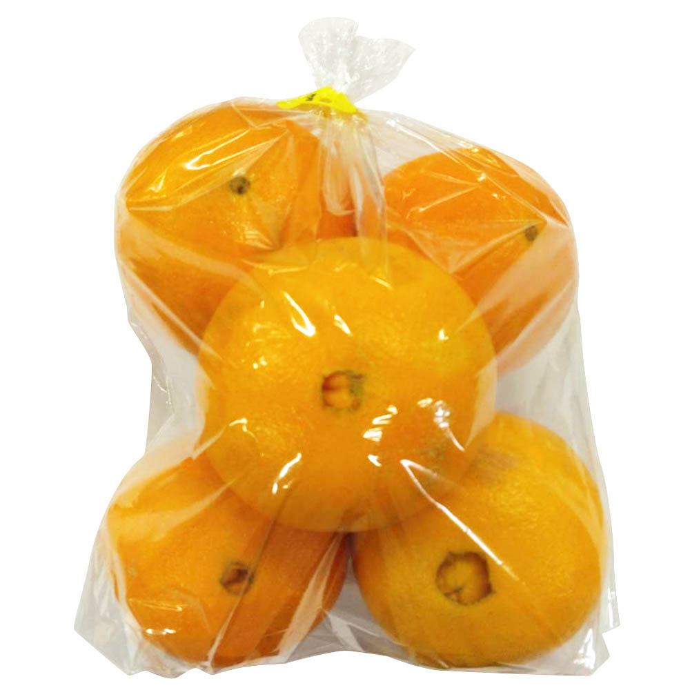 アメリカ産など国外産　ネーブルオレンジ　5～6玉入
