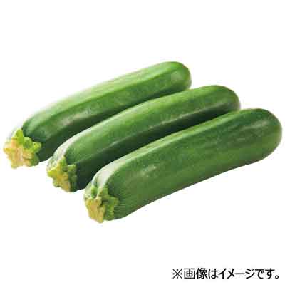 宮崎県産など国内産　ズッキーニ　１本