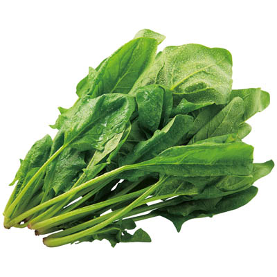 福岡県産など国内産 ほうれん草　１束