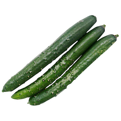 宮崎県産など国内産 きゅうり　3本