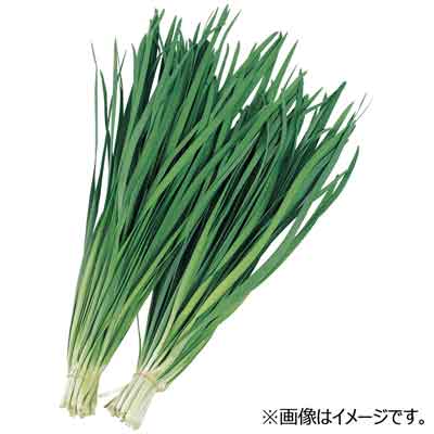 福岡県産など国内産 にら 1束