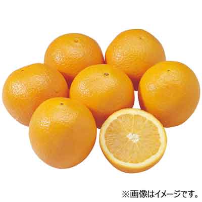オーストラリア産など　ネーブルオレンジ　1玉