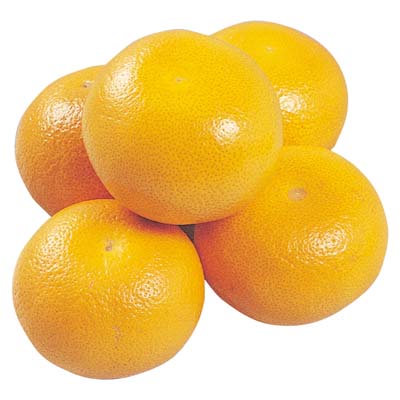 広島県産など国内産　紅八朔　1玉