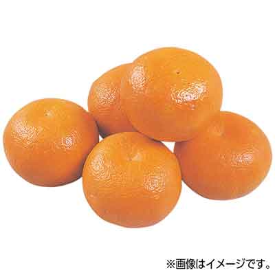 愛媛県産など国内産　伊予柑　1玉