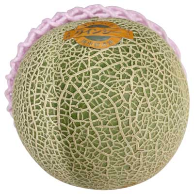 熊本県産など国内産　赤肉メロン　1玉