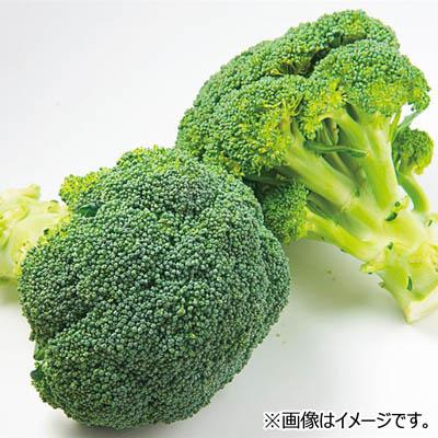 北海道産など国内産 ブロッコリー　1株