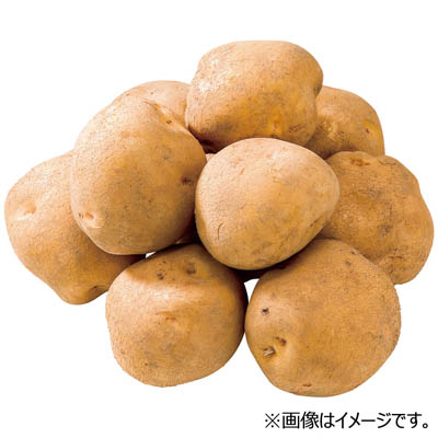 鹿児島産など国内産　ばれいしょ　１袋