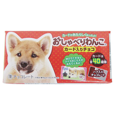 正栄 おしゃべりわんこ カード入りチョコ