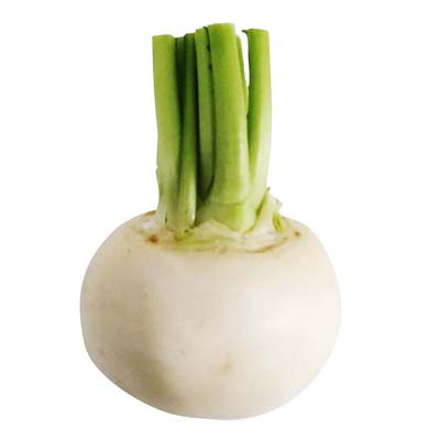 福岡県産など国内産　天かぶ　1玉