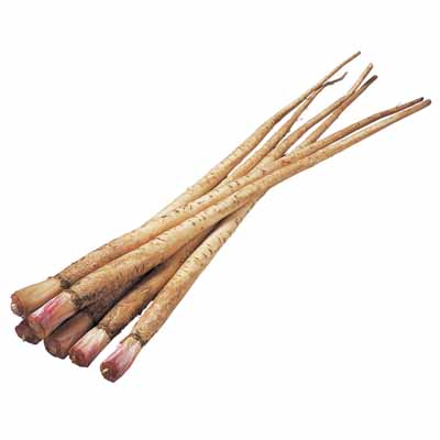 熊本県産など国内産　新ごぼう