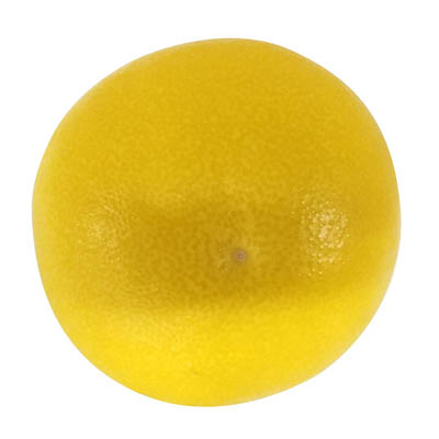 高知県産　文旦　1玉