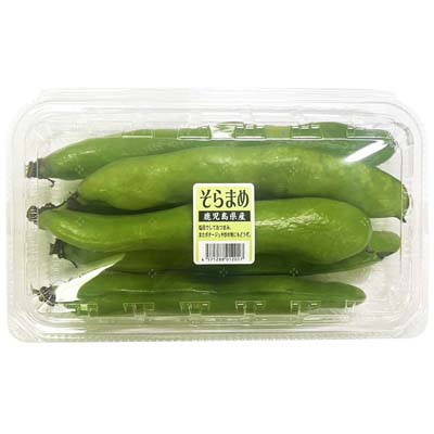 鹿児島県産など国内産　空豆　約250ｇ入