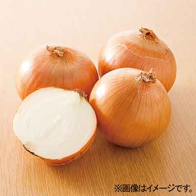 【グラム売】北海道産など国内産 玉ねぎ　約1200ｇ