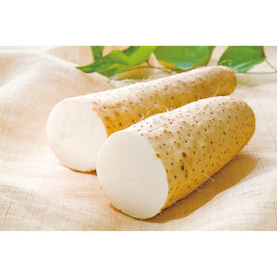 【グラム売】北海道産など国内産 長いも　約400ｇ