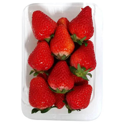 熊本県産など国内産　いちご　1パック