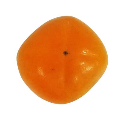 和歌山県産など国内産　種無し柿　玉