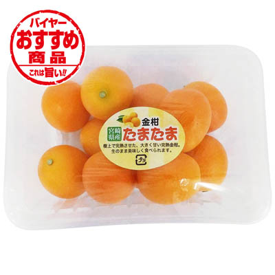 【グラム売】宮崎県産　金柑（たまたま）　約220ｇ