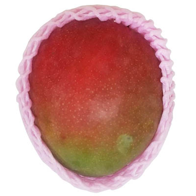 メキシコ産など国外産　マンゴー