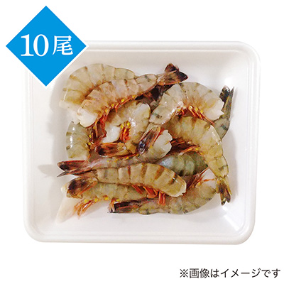 スリランカ産など　ブラックタイガー（大）１0尾（養殖・解凍）