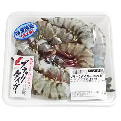 ブラックタイガー（特々大）養殖・解凍　10尾