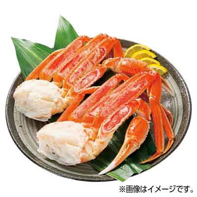 ロシア産など　蒸旨ずわいがに（生食用） １肩