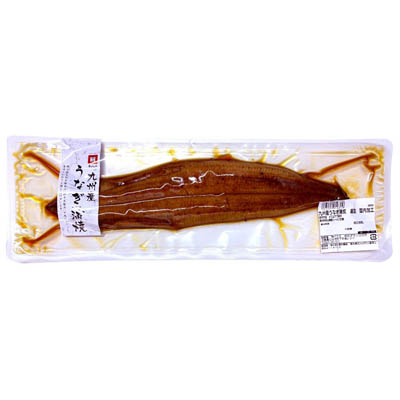 九州産　うなぎ蒲焼（真空　国内加工）1尾