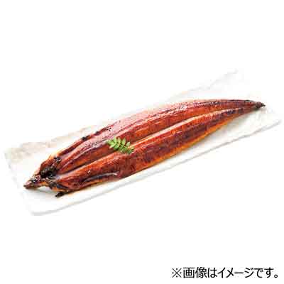 九州産　うなぎ蒲焼（大） 1尾入り　養殖