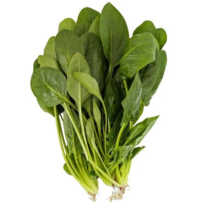 熊本県産など国内産　サラダほうれん草