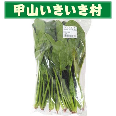 【甲山いきいき村】広島県産 ほうれん草　1袋