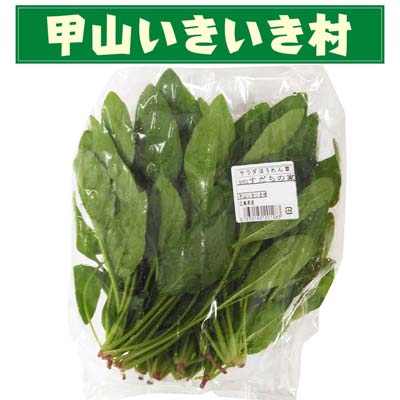 【甲山いきいき村】広島県産 サラダほうれん草　1袋