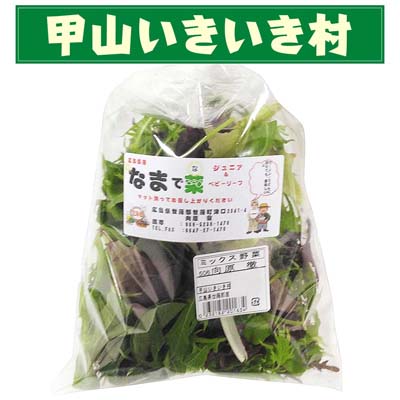 【甲山いきいき村】広島県産 ミックス野菜　1袋