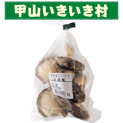 きのこ様★専用になります seedcoms サプリ サプリメント キノコの王様アガリクスが