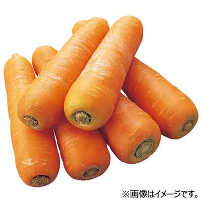 長崎県産など国内産　洋にんじん　5本入