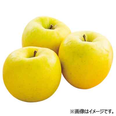 青森県産など国内産　名月（りんご）　１玉