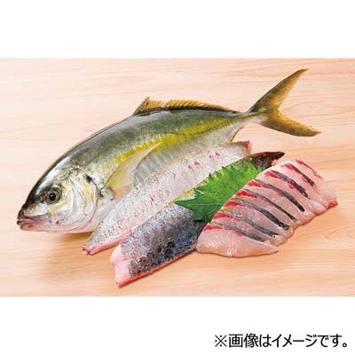 【グラム売】愛媛県産など　刺身用しまあじ　約150ｇ
