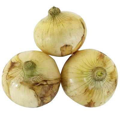 ☆【グラム売】長崎県産など国内産 新玉ねぎ　約700ｇ