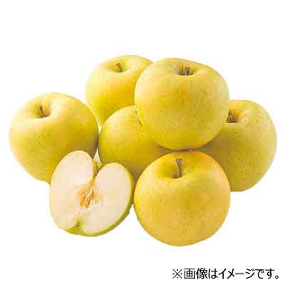 青森県産など国内産　トキ（りんご）1玉