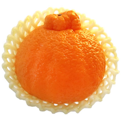 熊本県産など国内産　デコポン　1玉