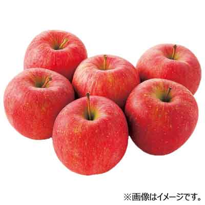 青森県産など国内産　早生ふじ（りんご）1玉