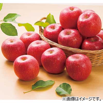 青森県産など国内産　サンふじ（りんご）1玉