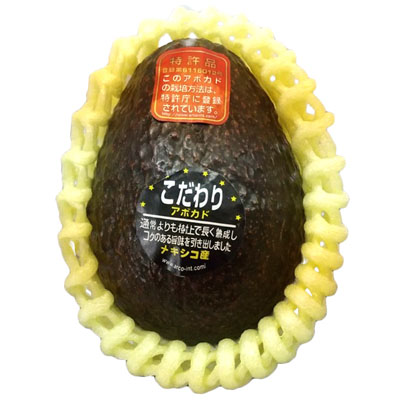 メキシコ産　ミゲールさんのこだわりアボカド　1玉