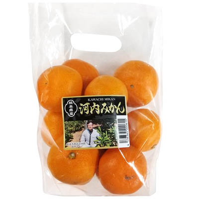熊本県産　河内みかん　約800ｇ入