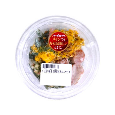 九州　1日分の緑黄色野菜が摂れるサラダ