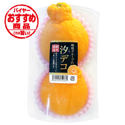 熊本県産　味咲グループの　汐デコ　2玉入