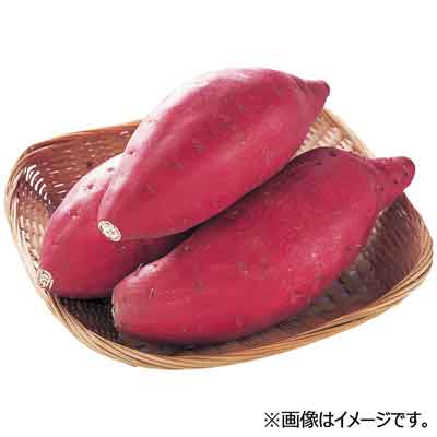 熊本県産など国内産 さつまいも袋