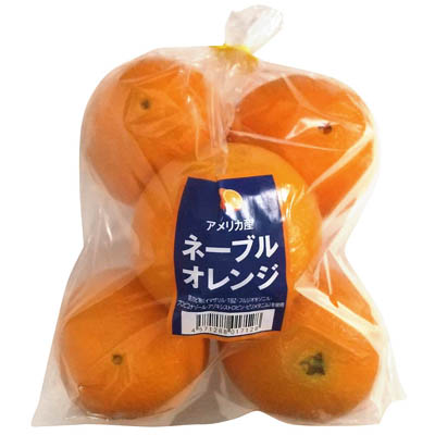オーストラリア産など国外産　ネーブルオレンジ　5玉入