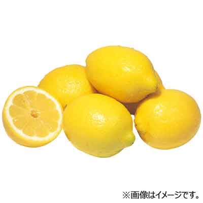 アメリカ産など国外産　皮ごとそのままレモン　1玉