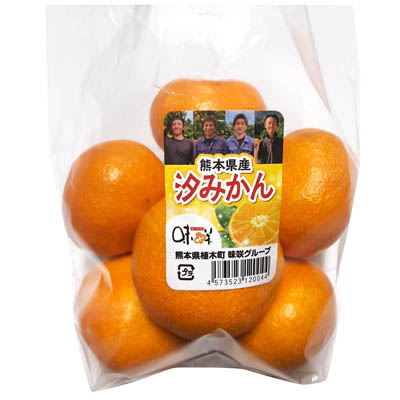 熊本県産　汐みかん　約800ｇ入