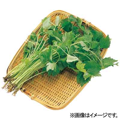 福岡県産など国内産 みつば 1袋