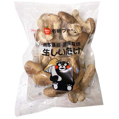 きのこくんさん専用 mt.saji🍄きのこめあ制作中 on X: 